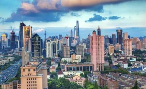 上海市劳动局，城市发展的守护者