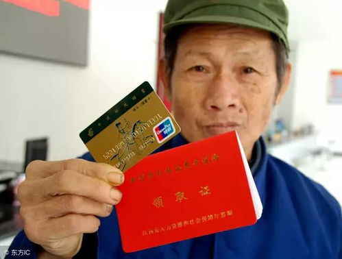 新农保政策，农民的金饭碗，保障未来的希望之光