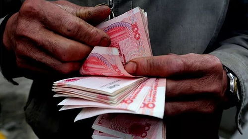 新农保政策，农民的金饭碗，保障未来的希望之光