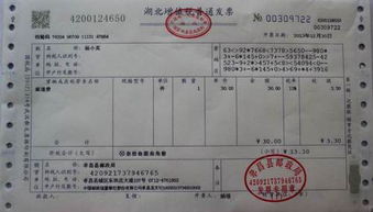 河南国税发票真伪查询，保障消费者权益，打击假发票
