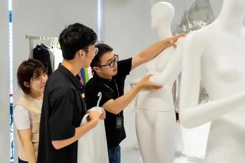 绿色新篇章，新森林法如何塑造我们的未来