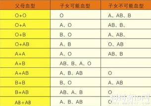 血型与亲子鉴定，科学与家庭关系的桥梁