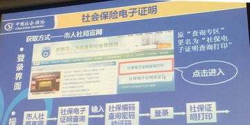 成都社保查询个人账户，一站式指南