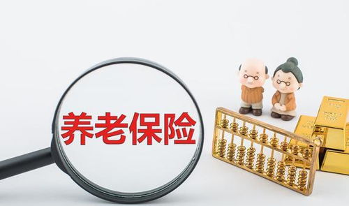 职工社会养老保险，保障未来，智慧投资