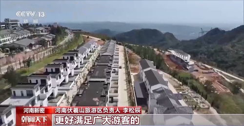 我们的村庄，我们的选择，村民委员会自治法的魔力