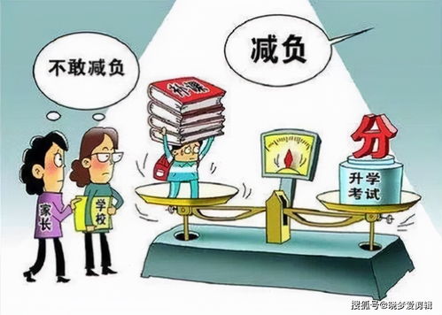 杭州房改房政策，家的温暖，政策的关怀