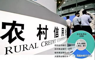 深入了解四川农村信用社贷款，助力农村经济发展的金融力量