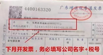 房屋租赁发票税点，省钱的智慧之选