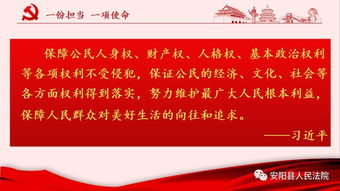 公务员法实施条例，守护公平正义的盾牌