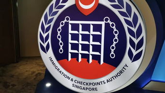 新加坡签证办理全攻略，轻松入境的秘诀