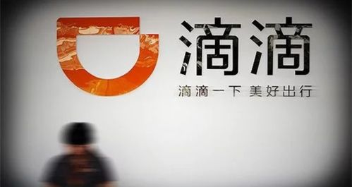 深入解析，投资公司的经营范围及其对投资者的意义