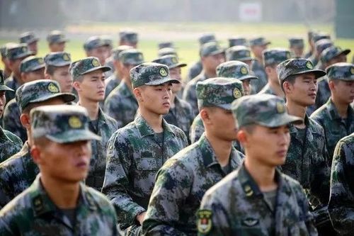 从校园到军营，大学生服兵役的挑战与机遇