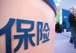 汽车保险公司查询，如何找到最适合您的保险提供商