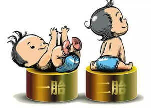 国五条离婚，政策背后的社会现象与法律解读