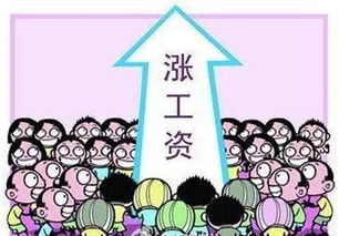 规范公务员津贴补贴，公平与效率的平衡艺术