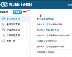 深圳市社保个人查询，全面指南与实用技巧