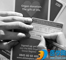 生命之光，探讨死囚器官捐献的伦理与法律边界
