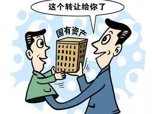 国有资产流失的认定，识别、预防与对策