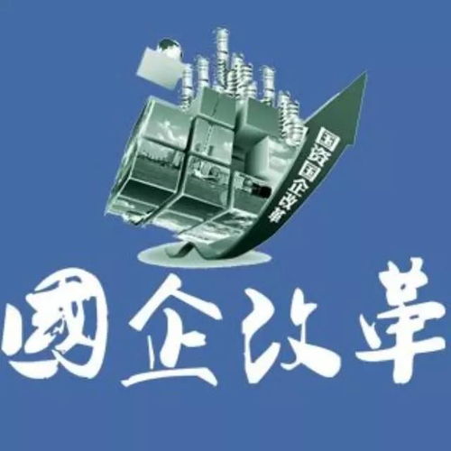 国有资产流失的认定，识别、预防与对策