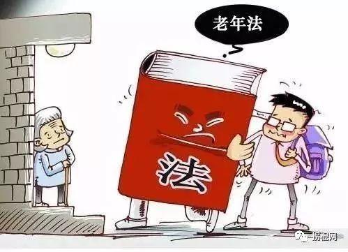 常回家看看入法，法律与情感的交汇点