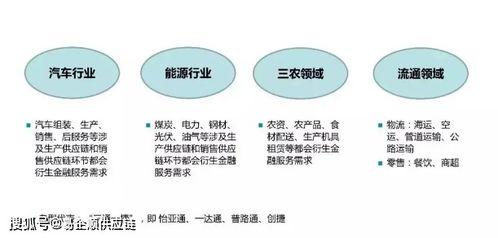 分省放开二胎政策，影响、挑战与未来展望