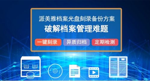 数字化时代下的个人档案管理，高效、安全与隐私保护的平衡艺术