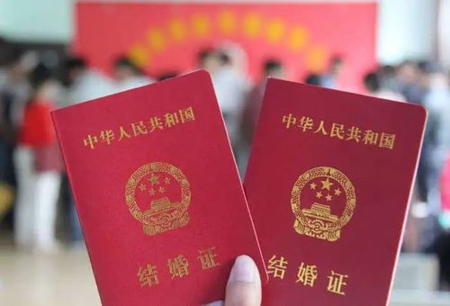 数字化浪漫，网络结婚证制作软件的魔力与指南