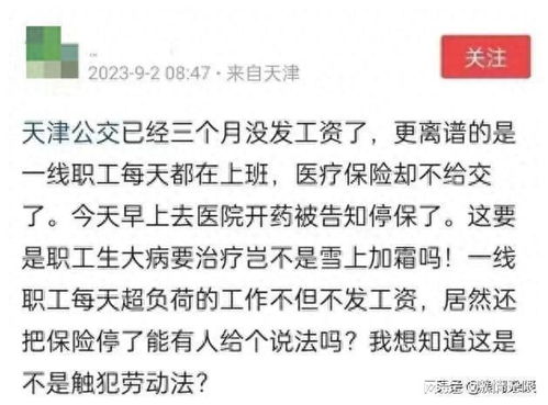 工程款拖欠问题，原因、影响与解决之道