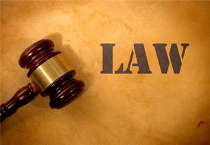 律师咨询律师：专业法律指导，轻松解决您的法律难题