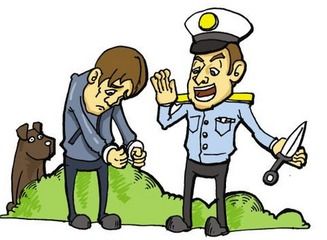 自首司法解释全解析：自动投案与如实供述认定标准，轻松掌握从宽处罚关键