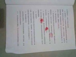 济南律师咨询：专业法律导航，轻松解决租房、劳动、合同等纠纷