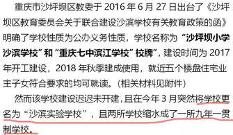 车祸赔偿标准全解析：从茫然无助到成功维权，轻松掌握赔偿计算与谈判技巧