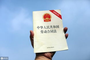 劳动合同全文解读：规避职场风险，保障合法权益的完整指南