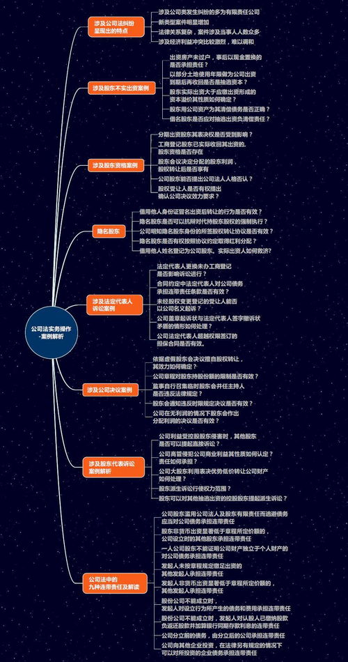 公司法解释二详解：公司解散清算实务指南与风险防范