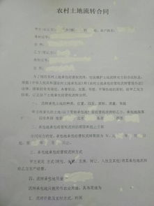 集体土地租赁合同全解析：避开法律陷阱，保障长期稳定使用