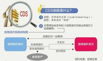信用违约互换(CDS)金融市场的保险单还是放大器?一场关于风险、透明与责任的深度对话 信用违约互换(CDS)金融市场的保险单还是放大器?一场关于风险、透明与责任的深度对话