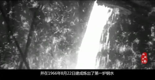 钢铁血脉背后的沉默逻辑，公路运输为何是中国经济最真实、最坚韧的毛细血管？一位跑遍23省物流园区的自媒体人手记