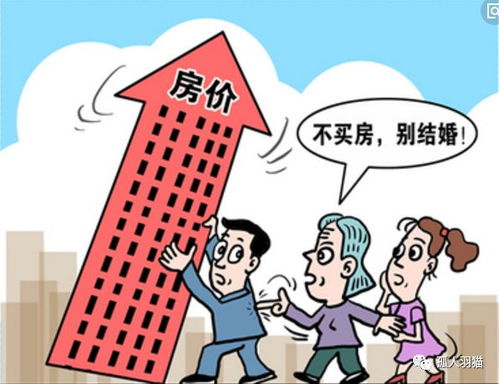 买房多交37万?别怪中介不提醒!2024年房产交易税全拆解,买卖双方最容易踩坑的7个致命盲区 买房多交37万?别怪中介不提醒!2024年房产交易税全拆解,买卖双方最容易踩坑的7个致命盲区