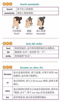 法人代表英文怎么写?别再混淆Legal Representative和Legal Person了!一文讲清中国语境下的关键概念与国际实务指南