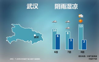 从管路到织网,深圳市交通运输委员会如何用智慧与温度重塑城市流动的脉搏