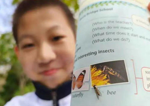 教科书背后的‘教育园丁’在北京中关村一间不挂牌的办公室里,他们正悄悄改写中国孩子的晨读时光 教科书背后的‘教育园丁’在北京中关村一间不挂牌的办公室里,他们正悄悄改写中国孩子的晨读时光