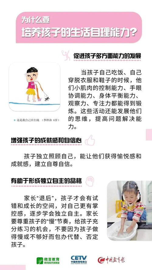 读懂你的驾驶证—一张小卡片背后的17类准驾车型与安全选择指南 读懂你的驾驶证—一张小卡片背后的17类准驾车型与安全选择指南