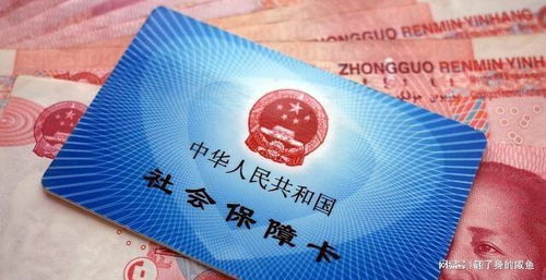交了15年社保，退休却少拿2000块？城镇职工社保 vs 新农保/城乡居民社保，90%的人根本没搞懂这5个致命差异！