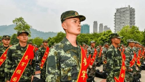 大专生当兵,不是退路,而是弯道超车的黄金跳板—一位退役士官的三年自述与12个被主流忽略的真实红利 大专生当兵,不是退路,而是弯道超车的黄金跳板—一位退役士官的三年自述与12个被主流忽略的真实红利