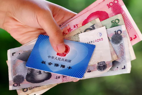 交了15年社保,退休却领不到养老金?自由职业者养老保险避坑指南,从参保误区、断缴代价、补缴真相到2024年最务实的6种养老方案全拆解 交了15年社保,退休却领不到养老金?自由职业者养老保险避坑指南,从参保误区、断缴代价、补缴真相到2024年最务实的6种养老方案全拆解