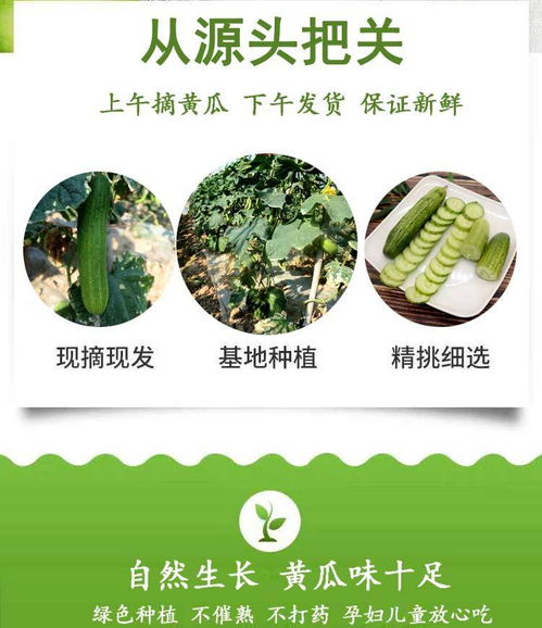 助农变割韭?揭秘网售滞销水果背后的五层套路,从悲情海报到算法围猎,我们捐的不是爱心,是流量税 助农变割韭?揭秘网售滞销水果背后的五层套路,从悲情海报到算法围猎,我们捐的不是爱心,是流量税