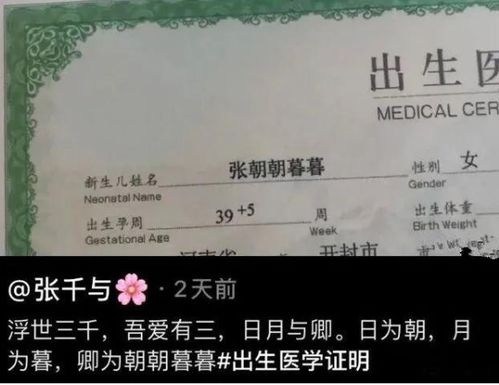 生娃要交钱?那这笔‘社会抚养费’到底喂饱了谁?一张医保卡、一所乡村小学、一座社区养老中心背后的账本真相 生娃要交钱?那这笔‘社会抚养费’到底喂饱了谁?一张医保卡、一所乡村小学、一座社区养老中心背后的账本真相
