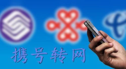 月租9元送200G流量背后的灰色链条,一个电话卡代理的自白,揭秘暴利、诈骗与无声崩塌的通信末梢 月租9元送200G流量背后的灰色链条,一个电话卡代理的自白,揭秘暴利、诈骗与无声崩塌的通信末梢