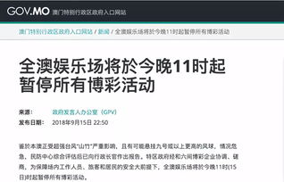 台风来袭,上海为何一键停课?读懂城市应急机制背后的科学逻辑与人文温度 台风来袭,上海为何一键停课?读懂城市应急机制背后的科学逻辑与人文温度