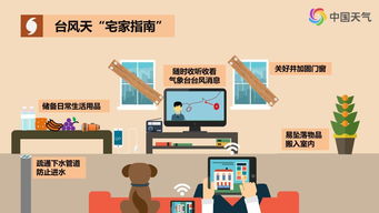 台风来袭,上海为何一键停课?读懂城市应急机制背后的科学逻辑与人文温度 台风来袭,上海为何一键停课?读懂城市应急机制背后的科学逻辑与人文温度